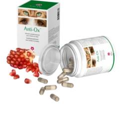 Anti-Ox 30 Gélules