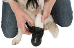 Trixie Chaussures De Protection Walker Active / L-XL 2pcs. 15 Trixie Chaussures De Protection Walker Active / L-XL 2pcs. -Magasin De Fournitures Pour Animaux Et Chiens 10162ef70d60bd5b4ee8a12f7485959979be3e588c38bad3a91c131089c28ca1 3
