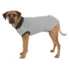 Trixie Veste De Protection / M-L / 50 Cm 1 Trixie Veste De Protection / M-L / 50 Cm -Magasin De Fournitures Pour Animaux Et Chiens 1884d33198590d832ebdac9012c4444c574d27586c30133d8a8c83189dff1eb0 7