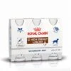 Royal Canin GI High Energy Liquid - 3 Flacons De 200ml -Magasin De Fournitures Pour Animaux Et Chiens 18dd35214d12cda2d1d4ace436a854e5871c2bf9921299eb25f4f45bcdb6f150