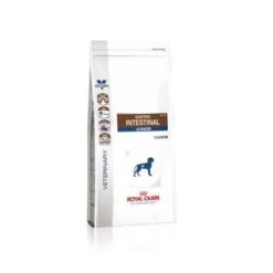 Royal Canin Gastro Intestinal Puppy Chien -Magasin De Fournitures Pour Animaux Et Chiens 2021057f81646d34e3b010d54900eb0e0515a48b16324bcd167c9899ff88a88b