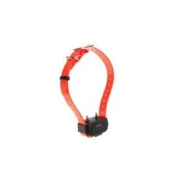 NumAxes Collier Canicom à Sangle Orange -Magasin De Fournitures Pour Animaux Et Chiens 240613 164227 PEEL 68V5sv 4