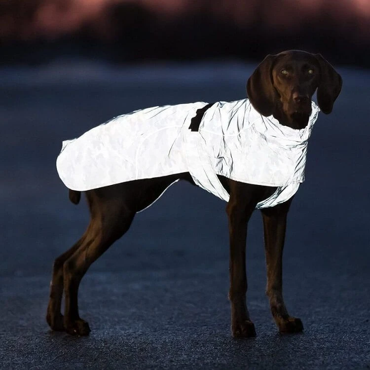 Trixie Imperméable Lunas Chien XS 30 Cm 5 Trixie Imperméable Lunas Chien XS 30 Cm – Image 3