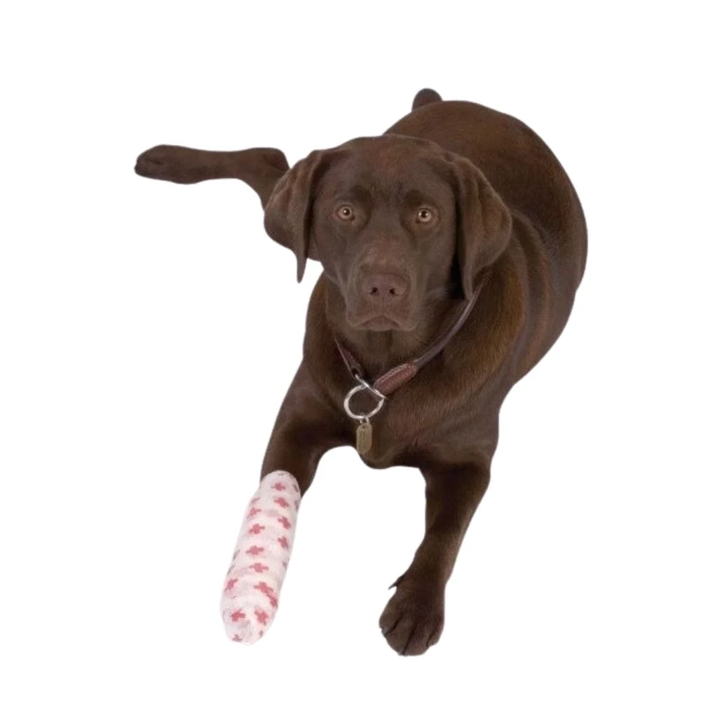 Bande Cohésive FUN-FLEX Boîte De 10 Bandes 4 Bande Cohésive FUN-FLEX Boîte De 10 Bandes – Image 2