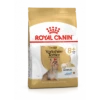 Royal Canin Yorkshire Terrier Adult 8+ 3kg 2 Royal Canin Yorkshire Terrier Adult 8+ 3kg -Magasin De Fournitures Pour Animaux Et Chiens 426b7586008a6b3c78c836732dfb464aa27471cc4c6d26292ec9e9ccf37365b2 1