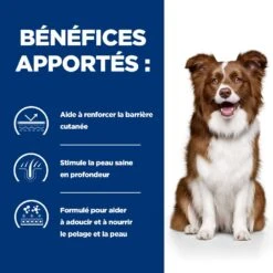 Hill's Prescription Diet Derm Defense Croquettes Pour Chien Au Poulet -Magasin De Fournitures Pour Animaux Et Chiens 52742008905 4 prescription diet chien derm defense croquettes poulet 1