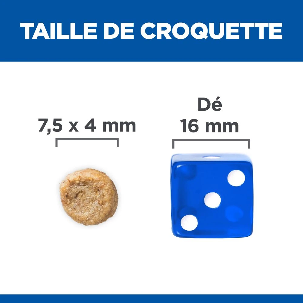 Hill's Science Plan Mature Adult Small & Mini Croquettes Pour Petit Chien Sénior Au Poulet 6 Hill's Science Plan Mature Adult Small & Mini Croquettes Pour Petit Chien Sénior Au Poulet – Image 4