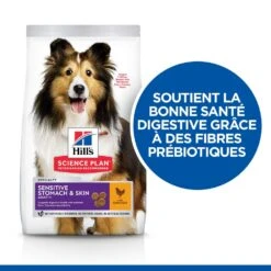 Hill's Science Plan Adult Sensitive Stomach & Skin Croquettes Pour Chien Au Poulet 14Kg -Magasin De Fournitures Pour Animaux Et Chiens 52742026091 2 science plan sensitive stomach skin chien adulte medium croquettes poulet