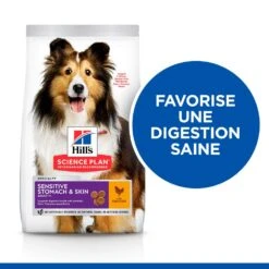 Hill's Science Plan Adult Sensitive Stomach & Skin Croquettes Pour Chien Au Poulet 14Kg -Magasin De Fournitures Pour Animaux Et Chiens 52742026091 3 science plan sensitive stomach skin chien adulte medium croquettes poulet