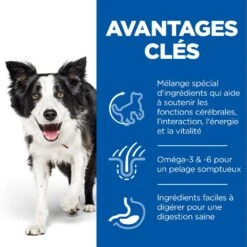 Hill's Science Plan Senior Vitality Croquettes Pour Chien âgé Au Poulet 14Kg 10 Hill's Science Plan Senior Vitality Croquettes Pour Chien âgé Au Poulet 14Kg -Magasin De Fournitures Pour Animaux Et Chiens 52742026107 3 science plan senior vitality chien medium croquettes poulet