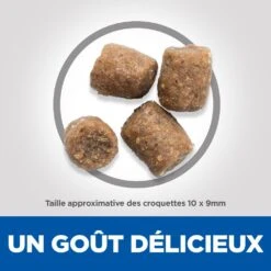 Hill's Science Plan Adult Performance Croquettes Pour Chien Au Poulet 14Kg -Magasin De Fournitures Pour Animaux Et Chiens 52742026114 4 science plan performance chien adulte croquettes poulet