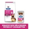 Hill's Prescription Diet Gastrointestinal Biome Pour Chien Au Poulet -Magasin De Fournitures Pour Animaux Et Chiens 52742026855 3 prescription diet chien gastrointestinal biome croquettes poulet
