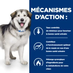 Hill's Prescription Diet C/d Multicare + Metabolic Croquettes Pour Chien -Magasin De Fournitures Pour Animaux Et Chiens 52742037394 5 prescription diet chien c d multicare metabolic croquettes