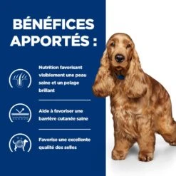 Hill's Prescription Diet Z/D AB+ Pour Chien Au Poulet -Magasin De Fournitures Pour Animaux Et Chiens 52742040455 4 prescription diet chien z d croquettes