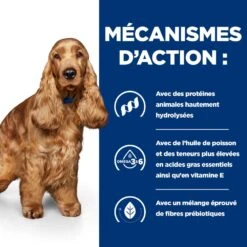 Hill's Prescription Diet Z/D AB+ Pour Chien Au Poulet -Magasin De Fournitures Pour Animaux Et Chiens 52742040455 5 prescription diet chien z d croquettes