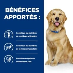 Hill's Prescription Diet J/D Mobility Croquettes Pour Chien Au Poulet -Magasin De Fournitures Pour Animaux Et Chiens 52742045740 4 prescription diet chien j d croquettes poulet
