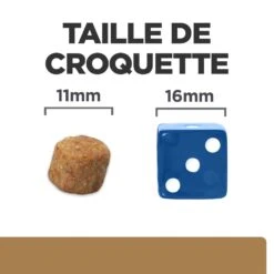 Hill's Prescription Diet J/D Mobility Croquettes Pour Chien Au Poulet -Magasin De Fournitures Pour Animaux Et Chiens 52742045740 6 prescription diet chien j d croquettes poulet