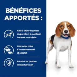 Hill's Prescription Diet R/D Croquettes Pour Chien Au Poulet -Magasin De Fournitures Pour Animaux Et Chiens 52742047256 3 prescription diet chien r d croquettes poulet