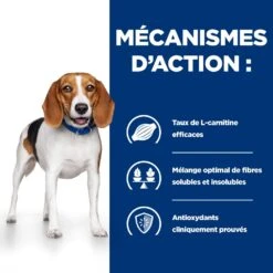 Hill's Prescription Diet R/D Croquettes Pour Chien Au Poulet -Magasin De Fournitures Pour Animaux Et Chiens 52742047256 4 prescription diet chien r d croquettes poulet