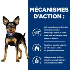 Hill's Prescription Diet Metabolic Mijotés Pour Chien 24x156g Poulet Et Légumes -Magasin De Fournitures Pour Animaux Et Chiens 52742047331 2 FR