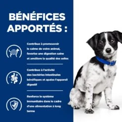Hill's Prescription Diet I/D Stress Digestive Mini Pour Petit Chien Au Poulet -Magasin De Fournitures Pour Animaux Et Chiens 52742048123 4 prescription diet chien i d stress mini croquettes