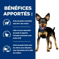 Hill's Prescription Diet Metabolic Croquettes Pour Petit Chien Au Poulet -Magasin De Fournitures Pour Animaux Et Chiens 52742335414 4 prescription diet chien metabolic mini croquettes poulet