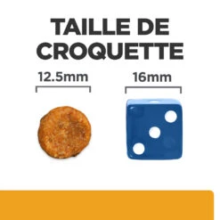 Hill's Prescription Diet C/D Urinary Multicare Croquettes Pour Chien Au Poulet -Magasin De Fournitures Pour Animaux Et Chiens 52742917603 6 prescription diet chien c d multicare croquettes poulet