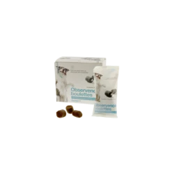 Observence Chien - 15 Boulettes