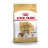 Royal Canin Cavalier King Charles Adult 1,5kg 1 Royal Canin Cavalier King Charles Adult 1,5kg -Magasin De Fournitures Pour Animaux Et Chiens 5909e9bffd4e56b63c73f9cbb51e875cb88bdf8adcaaff0c528474ba4811c7a1