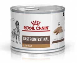 Royal Canin Gastro Intestinal Low Fat Chien -Magasin De Fournitures Pour Animaux Et Chiens 71a62bc0b244a0a5cb4975f3ca4307921465dd9c5d4b77c304b9e5cad2f1a2bb