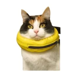 Collier Lune 9 Collier Lune -Magasin De Fournitures Pour Animaux Et Chiens 86eaa3c4e19da65cd3ccf16b9b644242d1ea36ae29fd6c84734ea4df7c7f1d52 1