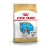 ROYAL CANIN Rc Vd Cavalier King Charles Chiot 1,5kg 2 ROYAL CANIN Rc Vd Cavalier King Charles Chiot 1,5kg -Magasin De Fournitures Pour Animaux Et Chiens 8efc225f9d7afdabee98626209e68badf39ac3f22f2368f9050efd16d02f32cb
