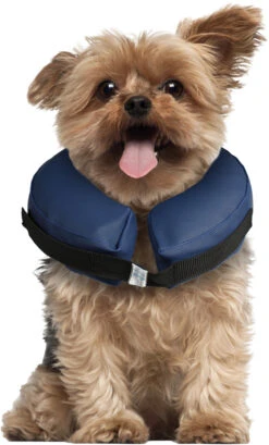 Flamingo Collier Gonflable Pour Chiens Gofi Xs -Magasin De Fournitures Pour Animaux Et Chiens 91c7e2540c51d376ee330bcd170be2dab27a83c045c0d7076ffa4ded7c6dc45c