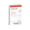 Wamine Vitalité 30 Comprimés -Magasin De Fournitures Pour Animaux Et Chiens 92f73edf94e5955a3abcd5714010dc8d5d25b8e4a1c28f2cb79142df20806874