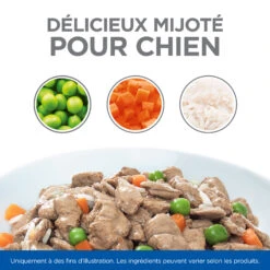 HILL'S SCIENCE PLAN HEALTHY CUISINE MIJOTÉS POUR CHIEN ADULTE SMALL & MINI AU POULET ET AU BŒUF 12X80G 15 HILL'S SCIENCE PLAN HEALTHY CUISINE MIJOTÉS POUR CHIEN ADULTE SMALL & MINI AU POULET ET AU BŒUF 12X80G -Magasin De Fournitures Pour Animaux Et Chiens Hill s science plan chien adult healthy cuisine mijotes sachet repas poulet boeuf 12x80g 4 FR