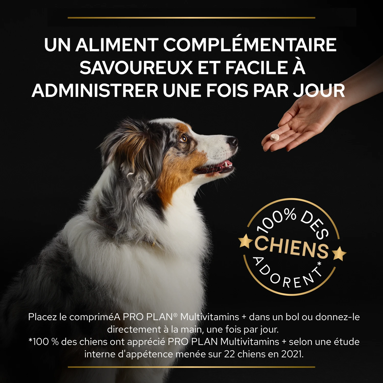 Purina PRO PLAN MULTIVITAMINS+ CHIEN ALIMENT COMPLEMENTAIRE - 67G 10 Purina PRO PLAN MULTIVITAMINS+ CHIEN ALIMENT COMPLEMENTAIRE - 67G – Image 8