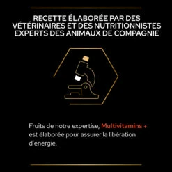 Purina PRO PLAN MULTIVITAMINS+ CHIEN ALIMENT COMPLEMENTAIRE - 67G 21 Purina PRO PLAN MULTIVITAMINS+ CHIEN ALIMENT COMPLEMENTAIRE - 67G -Magasin De Fournitures Pour Animaux Et Chiens PRO PLAN MULTIVITAMINS DOG SUPPLEMENT 67G 8 FR