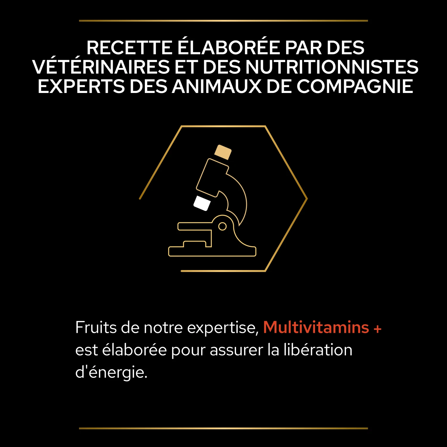 Purina PRO PLAN MULTIVITAMINS+ CHIEN ALIMENT COMPLEMENTAIRE - 67G 11 Purina PRO PLAN MULTIVITAMINS+ CHIEN ALIMENT COMPLEMENTAIRE - 67G – Image 9