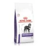 Royal Canin Neutered Adult Large Dog 1,5Kg 2 Royal Canin Neutered Adult Large Dog 1,5Kg -Magasin De Fournitures Pour Animaux Et Chiens a9bfada0fdf1f9c48c855bed7fbb72011d17781287c33be0a5c047dee8f09795 1