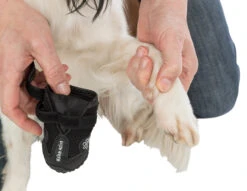 Trixie Chaussures De Protection Walker Active / M-L 2pcs. -Magasin De Fournitures Pour Animaux Et Chiens a9ed7403e7270fba9cbe0c569267f57bb704d33b769ec1a5458f95b1bf0c54e0 6