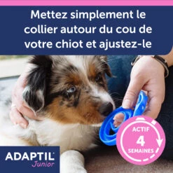 Adaptil Junior Collier (46,5cm) -Magasin De Fournitures Pour Animaux Et Chiens adaptil collier junior 3 FR