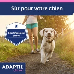 Adaptil Junior Collier (46,5cm) -Magasin De Fournitures Pour Animaux Et Chiens adaptil collier junior 5 FR