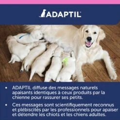 Adaptil Junior Collier (46,5cm) -Magasin De Fournitures Pour Animaux Et Chiens adaptil collier junior 6 FR