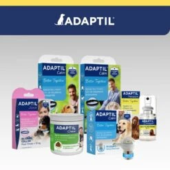 Adaptil Junior Collier (46,5cm) -Magasin De Fournitures Pour Animaux Et Chiens adaptil collier junior 7 FR