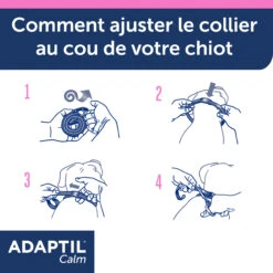 Adaptil Junior Collier (46,5cm) -Magasin De Fournitures Pour Animaux Et Chiens adaptil collier junior 8 FR