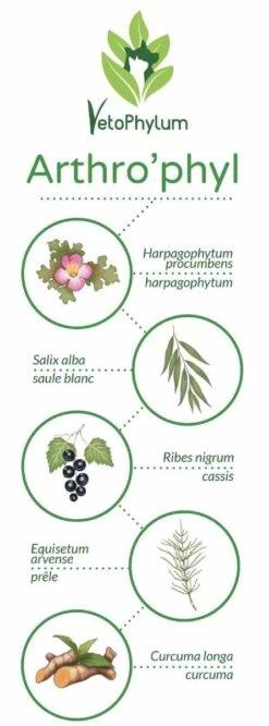 Arthro'Phyl -Magasin De Fournitures Pour Animaux Et Chiens arthrophyl4