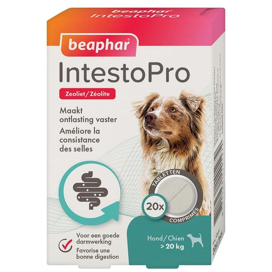 Beaphar IntestoPro Chien > 20 Kg - 20 Cps 3 Beaphar IntestoPro Chien > 20 Kg - 20 Cps