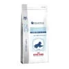 ROYAL CANIN PEDIATRIC STARTER LARGE DOG - 14 Kg