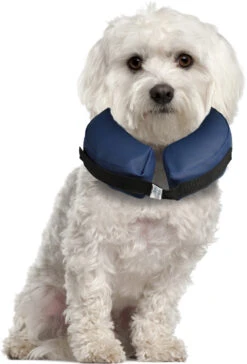 Flamingo Collier Gonflable Pour Chiens Gofi S -Magasin De Fournitures Pour Animaux Et Chiens c76564a084433e164fdda469521c2f8b95e5c504b608d8280deab069721e7d8e