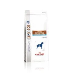 Royal Canin Gastro Intestinal Moderate Calorie Chien -Magasin De Fournitures Pour Animaux Et Chiens c96be46b08946a606f224303102df65abfaed4d03ddb9e5c7287ed64f3014855